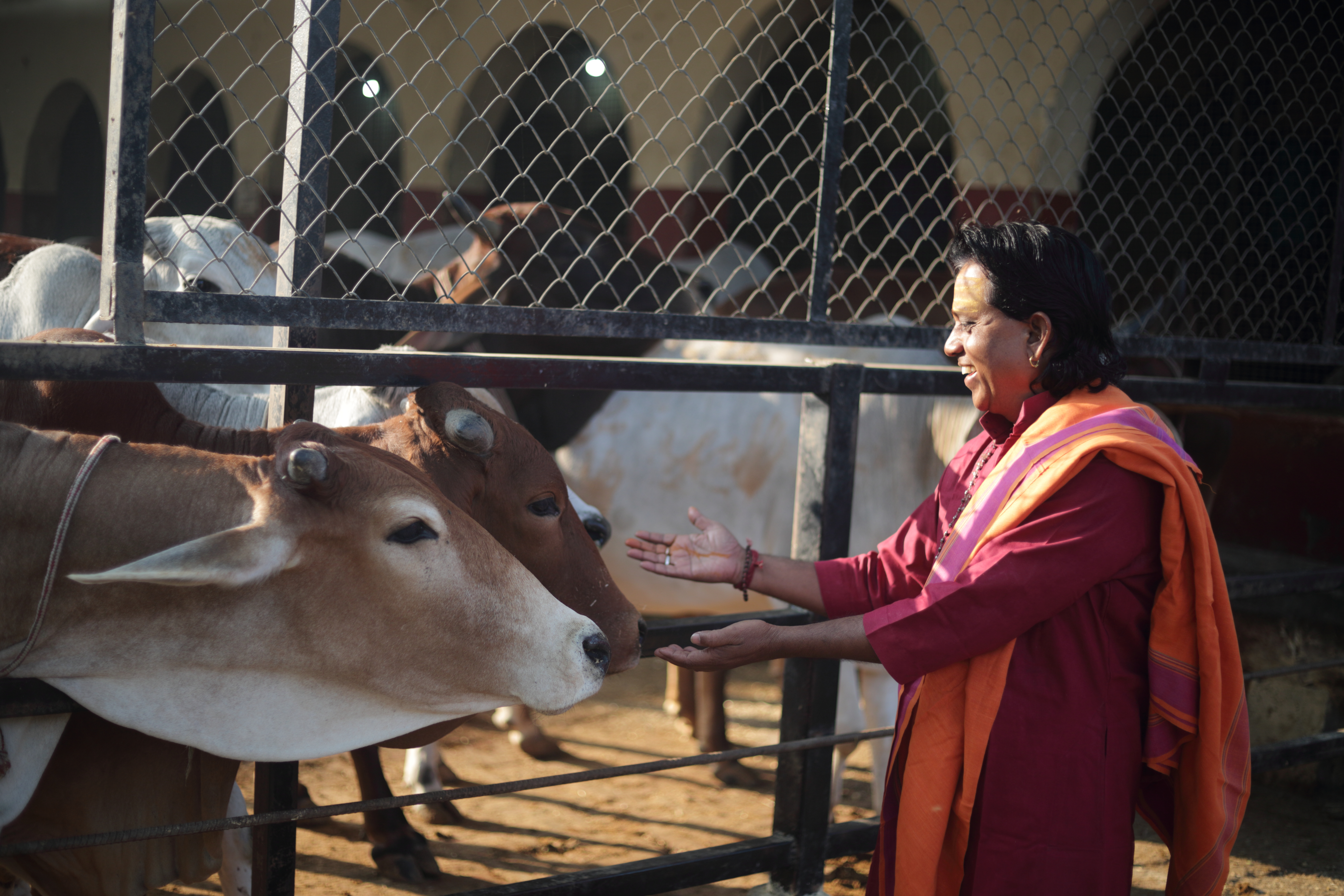 गौ सेवा
