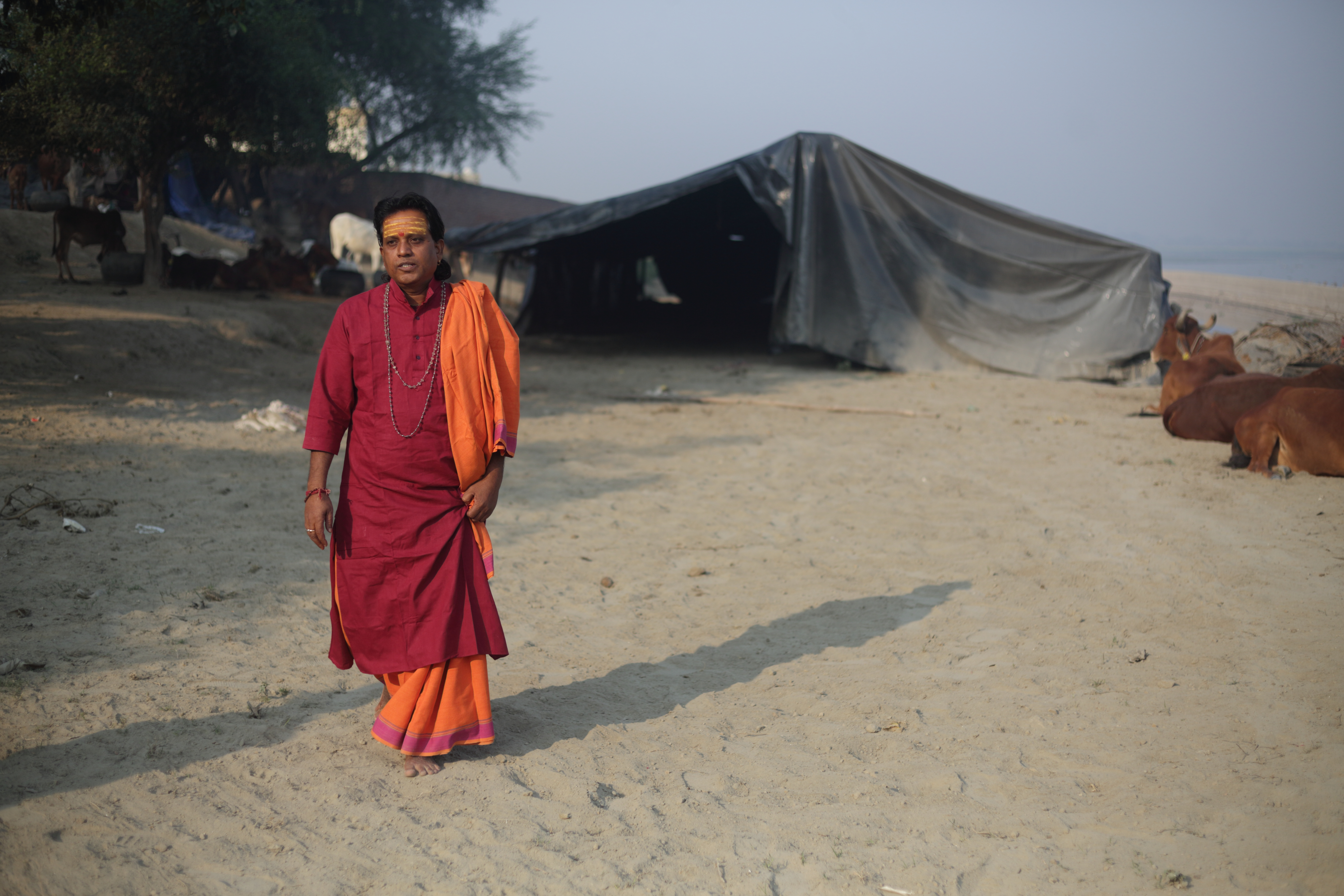 गौशाला