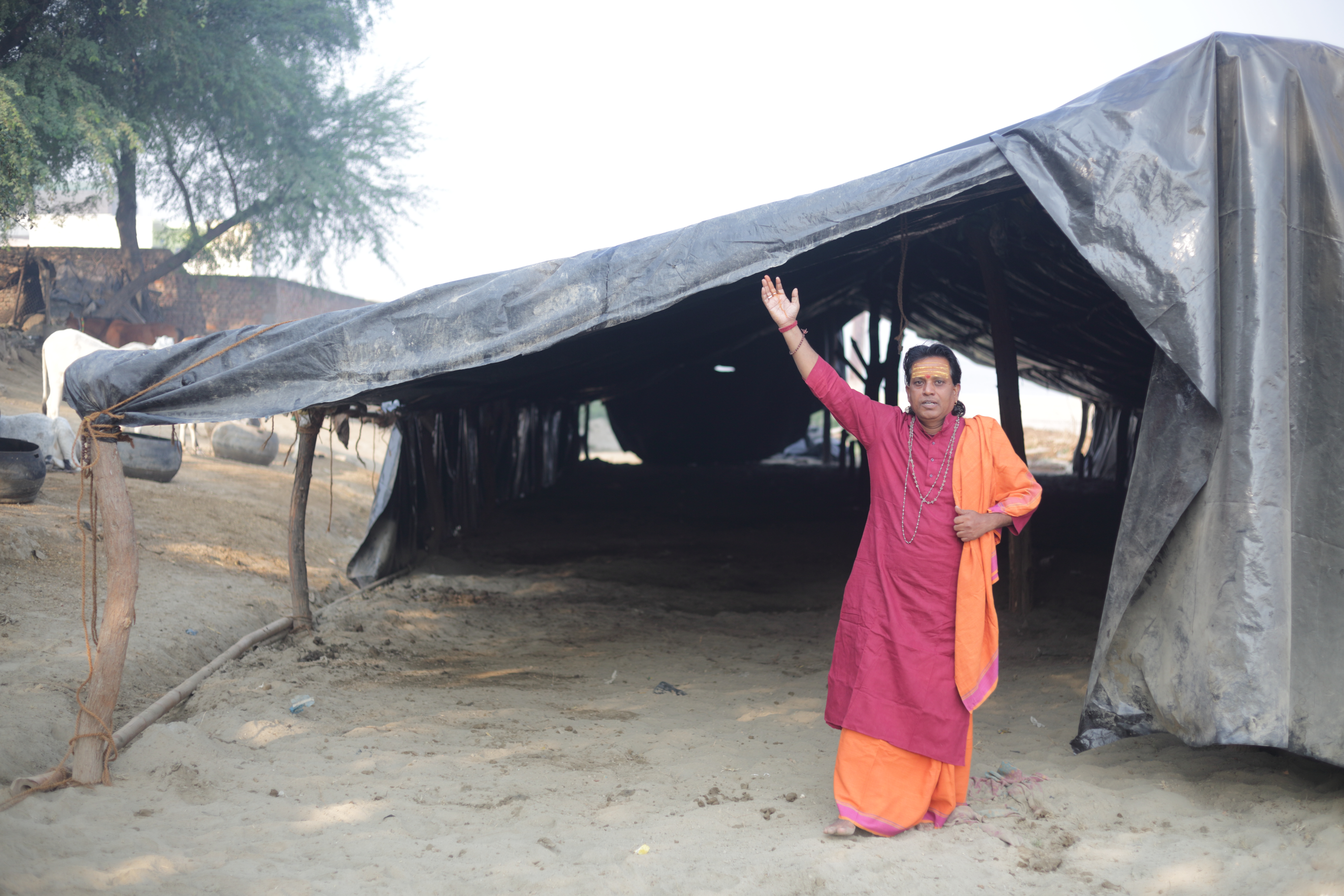 गौ सेवा